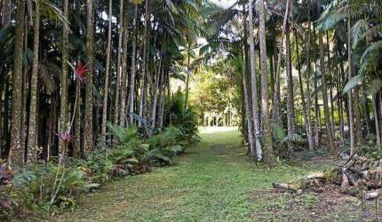 Chácara / sítio com 3 quartos à venda na ENDEREÇO NÃO INFORMADO, Passa Sete, Morretes, 86000 m2 por R$ 400.000