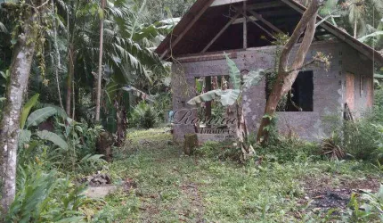 Chácara / sítio com 2 quartos à venda na ENDEREÇO NÃO INFORMADO, Rio do Nunes, Antonina, 48 m2 por R$ 375.000