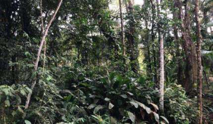 Terreno à venda na ENDEREÇO NÃO INFORMADO, Rio Sagrado, Morretes, 7388 m2 por R$ 99.000