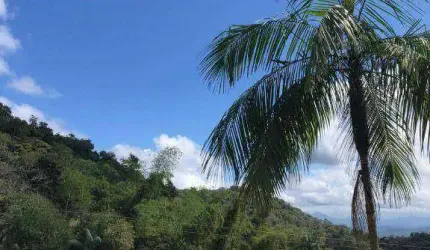 Terreno à venda na ENDEREÇO NÃO INFORMADO, Rio Sagrado, Morretes, 1000 m2 por R$ 85.000