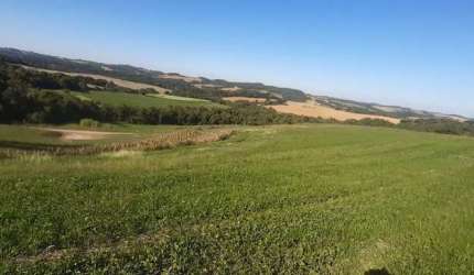 LINDO SITIO 5 ALQUERES E MEIO, 133 MIL M², A 4 KM DA RODOVIA DO XISTO, MARIENTAL CONTENDA COM CASA 120M², A 210 MIL POR ALQUEIRES FN 99864-4995