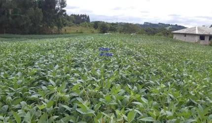 CHÁCARA 20 MIL M², ESCRITURADA E REGISTRADA * FICA A UM KM DA RODOVIA DO XISTO, NA DIVISA DE MARIENTAL COM CONTENDA
