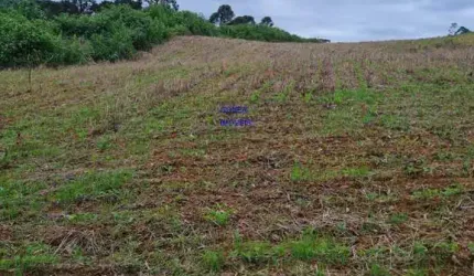 Área total:  5 alqueires e 21 litros.  Área de lavoura: 4 alqueires e 20 litros. Aproveitamento de 100% descontado a reserva obrigató Água abundante.