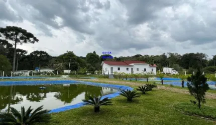 CHÁCARA 3/7 ALQUEIRES, ALTO PRODUTIVA, LAZER, CONFORTO E TRANQUILIDADE COM 1.500M² ESTUFA MORANGO, CASA ALVENÁRIA, PISCINA, TANQUES PEIXE PRODUZINDO,
