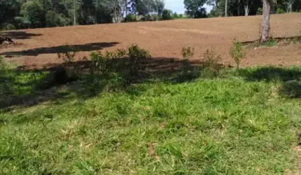 CHÁCARA DE 3 ALQUEIRES E 5 LITROS, COM CASA, 75.911M² LAPA, DOCUMENTADA POR 460 MIL FN 99864-4995