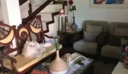 Casa em condomínio fechado com 4 quartos à venda na Rua Herbet José de Souza, Stella Maris, Salvador, 85 m2 por R$ 500.000