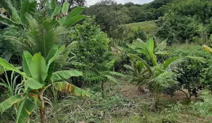 SITIO EM DIOGO. EXCELENTE LOCALIZAÇÃO!