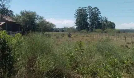 Terreno para Venda em Viamão, Passo do Vigário