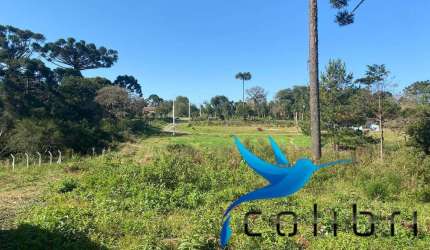 Chácara Urbana em Trigolândia - Piên