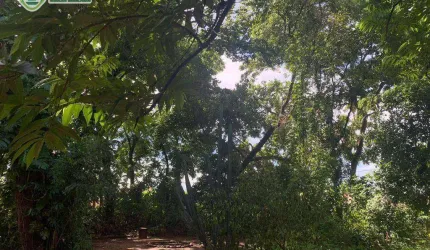 TERRENO - VENDA - Parque do Lago - Várzea Grande/MT