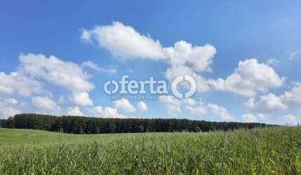 Fazenda à venda no Centro, Lapa , 1000 m2 por R$ 7.500.000