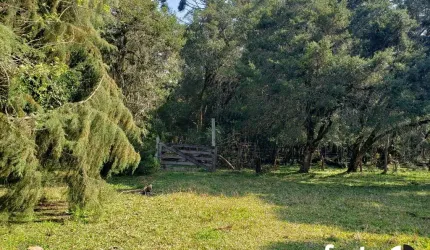 Chácara / sítio à venda no Guajuvira, Araucária  por R$ 990.000
