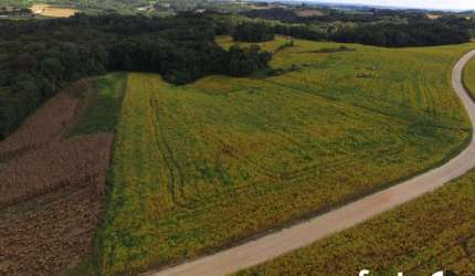 Chácara / sítio à venda no Lagoa Suja, Araucária , 24200 m2 por R$ 650.000