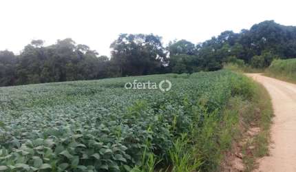 Chácara / sítio com 3 quartos à venda no Mariental, Lapa , 100 m2 por R$ 1.070.000