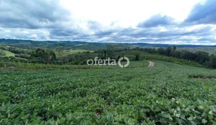 Chácara / sítio à venda no Mato Preto, Lapa  por R$ 335.000