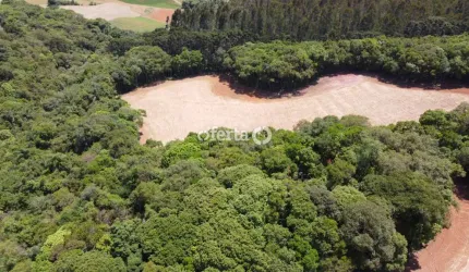 Chácara / sítio à venda no Rio Verde de Cima, Araucária  por R$ 600.000