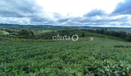 Terreno à venda no Mato Preto, Lapa  por R$ 335.000