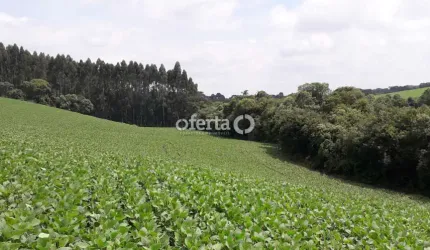 Chácara / sítio à venda em Campestre, Contenda  por R$ 530.000