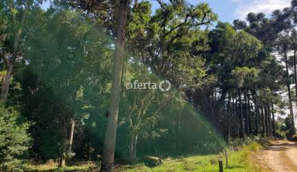 Chácara / sítio à venda em Taquarova, Araucária  por R$ 600.000