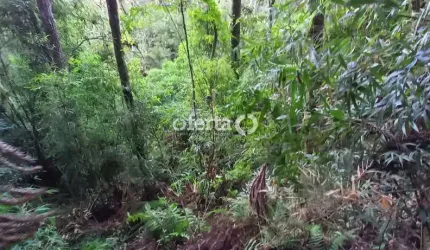 Chácara / sítio à venda no Mariental, Lapa  por R$ 250.000
