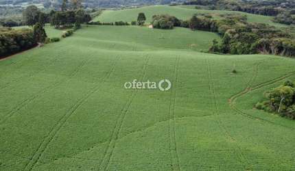 Fazenda à venda no Bugre, Balsa Nova , 100 m2 por R$ 13.000.000
