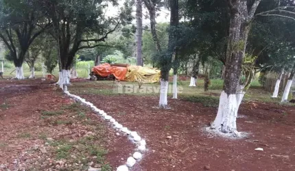 Chácara a venda  em Cascavel
