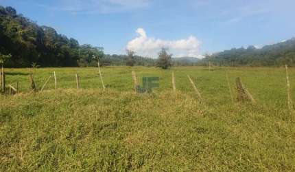 Excelente oportunidade de investimento! Fazenda à venda em Luiz Alves/SC.