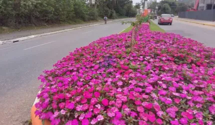 Terreno à venda na Rua Pedro Honorato Amorim, Centro, Camboriú, 18000 m2 por R$ 4.725.000