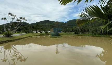 Excelente oportunidade de investimento! Sítio/Chácara à venda em Camboriu.