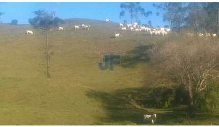 Excelente área com 71 hectares, bairro Caetés cidade de Camboriú.