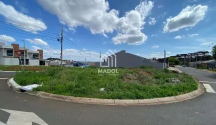 Terreno à venda, 200 m² por R$ 220.000 - Cará-cará - Ponta Grossa/PR