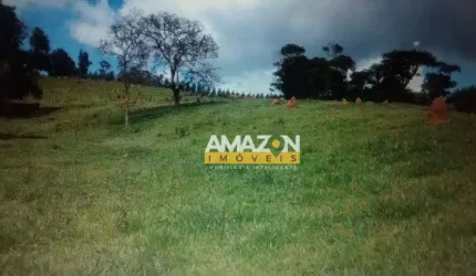 Chácara à venda, 216000 m² por R$ 700.000,00 - Retiro - Redenção da Serra/SP