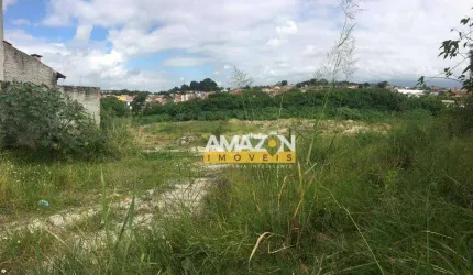 Área à venda, 15000 m² por R$ 3.750.000,00 - Jardim São Benedito - Taubaté/SP
