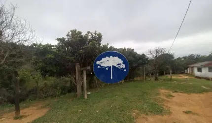 Excelente Chácara Montada com 5.000m²  no Passo a Passo em Contenda
