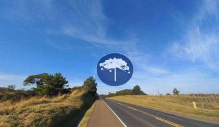 Chácara com 2 frentes na Br 423 - em Araucária, sentido Campo Largo
