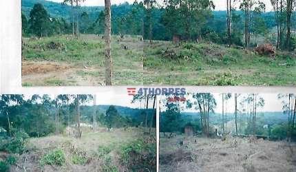 Terreno à venda, 1532 m² por R$ 380.000 - Invernada - Embu das Artes/SP