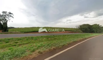 Chácara ampla para plantio a venda na BR 163 em TOLEDO-PR