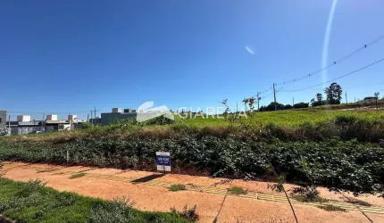 Terreno amplo disponível para venda no JARDIM PINHEIRINHO, TOLEDO - PR