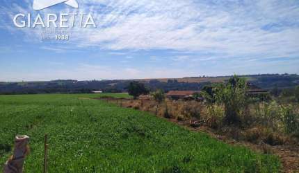 Chácara à venda,10000.00m , NOVO SOBRADINHO, TOLEDO - PR