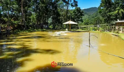 SITIO LIMEIRA 148 MIL M² COM LAGOA CAMBORIÚ SC