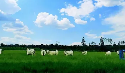 Fazenda Caraíva, Porto Seguro - BA
