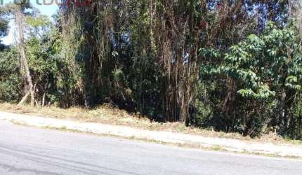 Lote / Terreno de Bairro Para Vender no bairro Morro Grande
