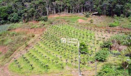 Chácara à venda, 20000 m² por R$ 1.100.000,00 - Varginha - Nova Friburgo/RJ