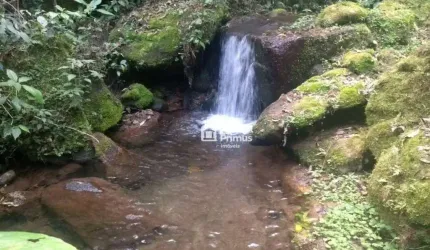 Sítio à venda, 555000 m² por R$ 4.000.000,00 - Macaé de Cima - Nova Friburgo/RJ