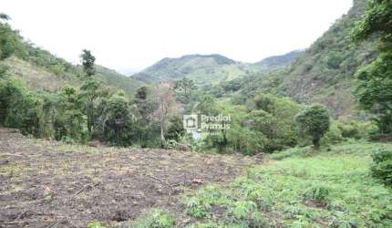Terreno à venda, 255553 m² por R$ 2.700.000,00 - São Pedro da Serra - Nova Friburgo/RJ