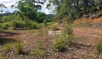 Terreno à venda, 20159 m² por R$ 299.000,00 - COLONIAL 61 - Nova Friburgo/RJ