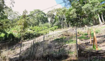 Terreno à venda, 1193 m² por R$ 450.000,00 - Centro - Nova Friburgo/RJ