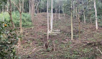 Terreno à venda, 1533 m² por R$ 200.000,00 - Parque Dom João VI - Nova Friburgo/RJ