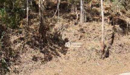 Terreno à venda, 650 m² por R$ 180.000,00 - Parque São Clemente - Nova Friburgo/RJ
