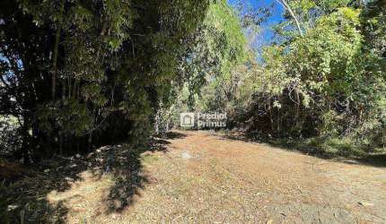 Terreno à venda, 1790 m² por R$ 399.000,00 - Cônego - Nova Friburgo/RJ